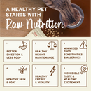 Primal Kibble in the Raw Chicken Recipe Cat Food