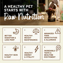 Primal - Patties - Raw Beef Patties (For Dogs) - Frozen Product