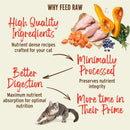 Primal Kibble in the Raw Chicken & Fish Recipe Cat Food