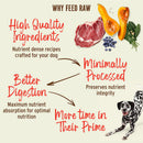 Primal - Pronto - Freeze Dried Raw Pronto - Chicken & Salmon Recipe (For Puppies)