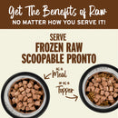 Primal - Pronto - Raw Venison (For Cats) - Frozen Product