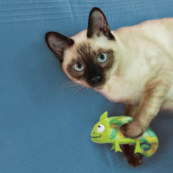 KONG Refillables Chameleon cat toy 2