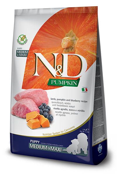 Farmina - N&D Pumpkin - Lamb, Blueberry & Pumpkin Med/Maxi (Dry Puppy Food)