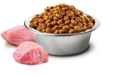 Farmina - N&D Pumpkin - Chicken, Pomegranate & Pumpkin Mini (Dry Dog Food)