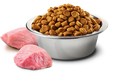 Farmina - N&D Pumpkin - Boar, Apple & Pumpkin Mini (Dry Dog Food)