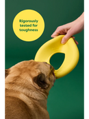 Earth Rated - Fly Toy (Dog Toy)