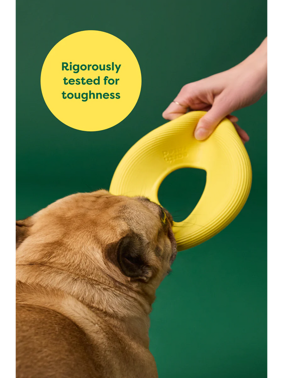 Earth Rated - Fly Toy (Dog Toy)