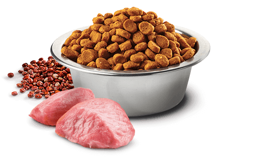 Farmina - N&D Quinoa - Digestion Lamb Adult Medium & Maxi (Dry Dog Food)