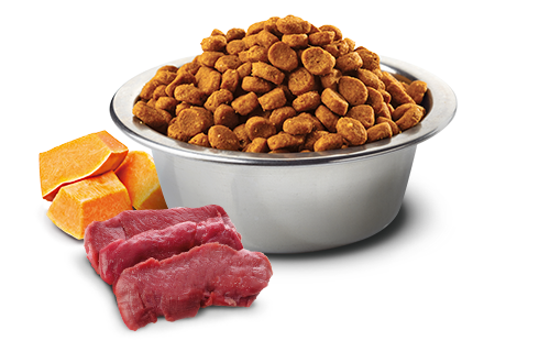 Farmina - N&D Pumpkin - Venison and Apple Adult Recipe (Dry Cat Food)