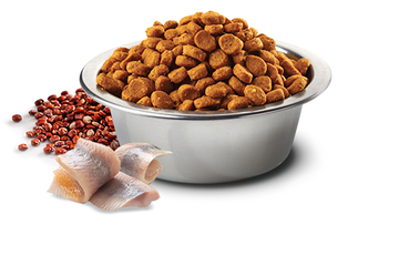Farmina - N&D Quinoa - Skin & Coat Herring & Quinoa Med/Maxi (Dry Dog Food)
