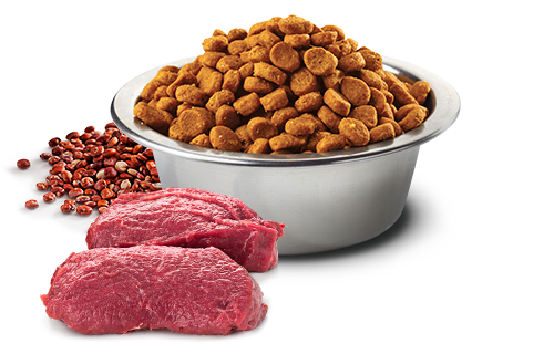 Farmina - N&D Quinoa - Skin & Coat Venison & Quinoa (Dry Dog Food)