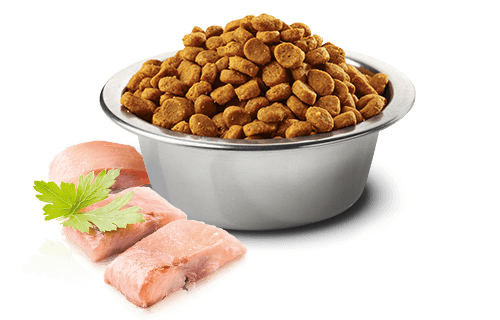 Farmina - N&D Ocean - Herring and Orange Adult Recipe (Dry Cat Food)