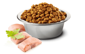 Farmina - N&D Ocean - Herring and Orange Adult Recipe (Dry Cat Food)