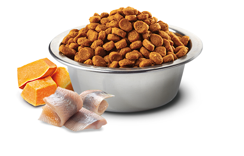 Farmina - N&D Ocean - Herring, Pumpkin, and Orange Adult Recipe (Dry Cat Food)