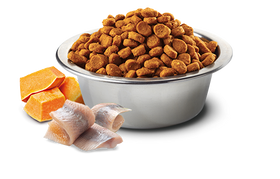 Farmina - N&D Ocean - Cod, Pumpkin and Orange Adult Mini (Dry Dog Food)