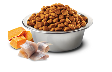Farmina - N&D Ocean - Cod, Pumpkin and Orange Adult Mini (Dry Dog Food)