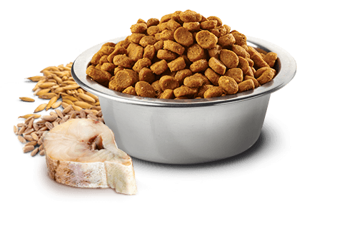 Farmina N&D Ocean Cod, Spelt, Oats, and Orange Adult Mini (Dry