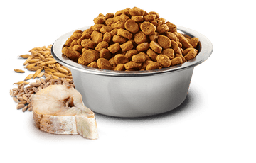 Farmina - N&D Ocean - Cod, Spelt, Oats, and Orange Adult Mini (Dry Dog Food)