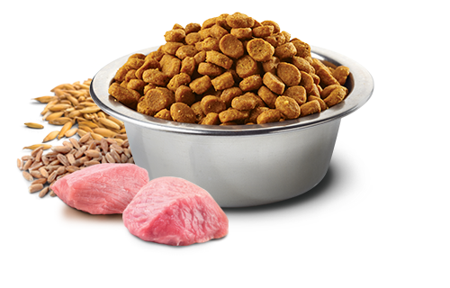 Farmina - N&D Ancestral Grain - Chicken & Pomegranate Adult Medium & Maxi (Dry Dog Food)