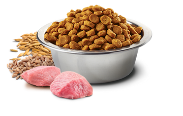 Farmina - N&D Ancestral Grain - Chicken & Pomegranate Senior Mini (Dry Dog Food)