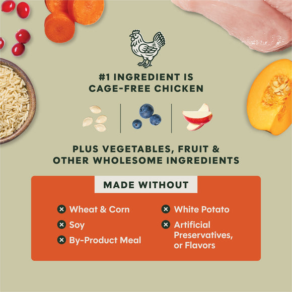 Instinct Raw Boost Gut Health Whole Grain Chicken Recipe dry dog food