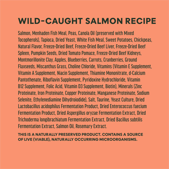 Instinct Raw Boost Real Salmon Recipe dry dog food