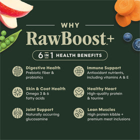 Instinct Raw Boost Real Salmon Recipe dry dog food