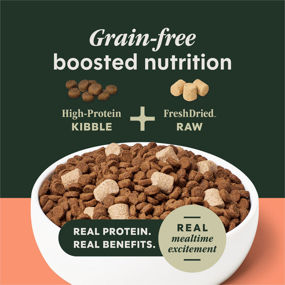 Instinct Raw Boost Real Salmon Recipe dry dog food