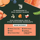 Instinct Raw Boost Real Salmon Recipe dry dog food