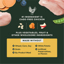 Instinct Raw Boost Real Chicken Recipe dry dog food