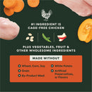 Instinct Raw Boost Gut Health Real Chicken Recipe dry dog food