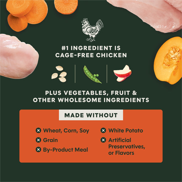 Instinct Raw Boost Gut Health Real Chicken Recipe dry dog food