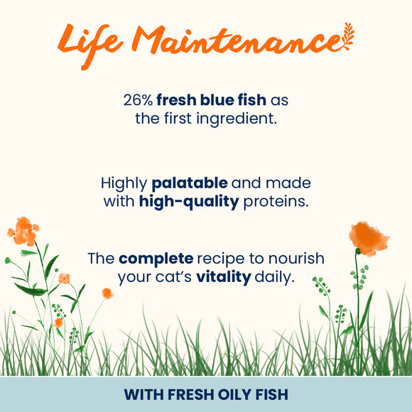 Almo Nature Maintenance Oceanic Fish Dry Cat Food feature 2