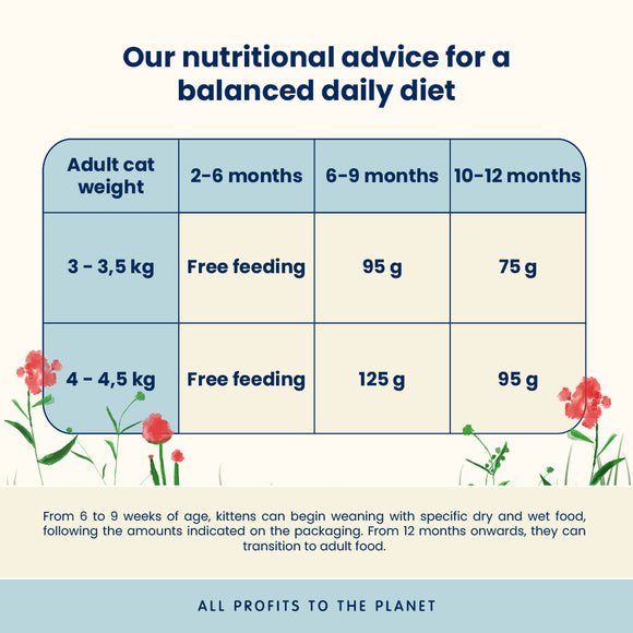 Almo Nature Kitten Chicken Dry Food feature 3