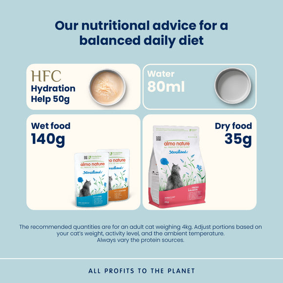 Almo Nature Indoor Salmon Dry Cat Food