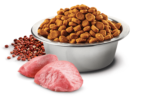 Farmina - N&D Quinoa Digestion - Lamb Mini (Dry Dog Food)