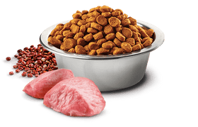 Farmina - N&D Quinoa Digestion - Lamb Mini (Dry Dog Food)