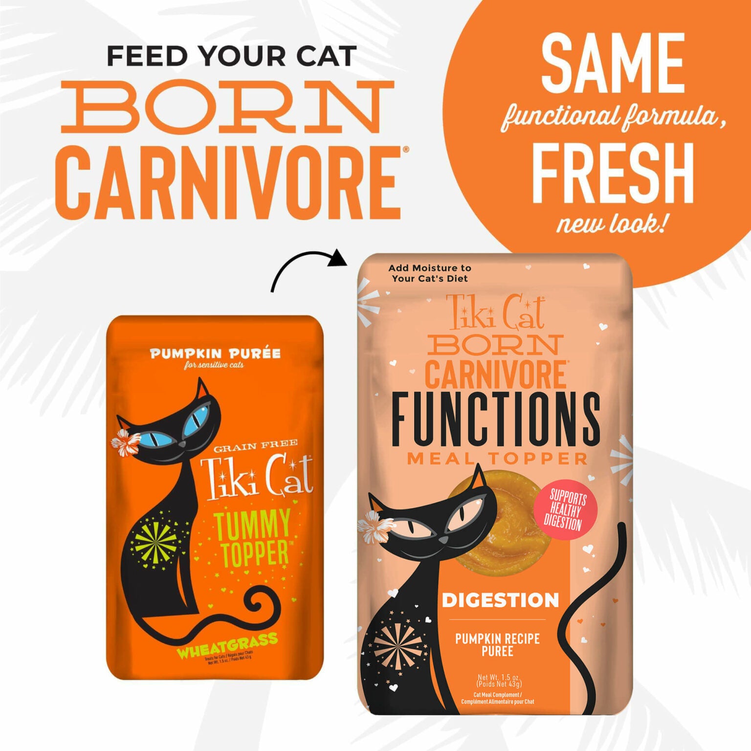 Tiki Cat - Born Carnivore Functions - Digestion Pumpkin Recipe Puree Tummy Topper (For Cats)