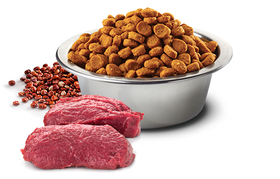 Farmina - N&D Quinoa - Skin & Coat Venison Mini (Dry Dog Food)