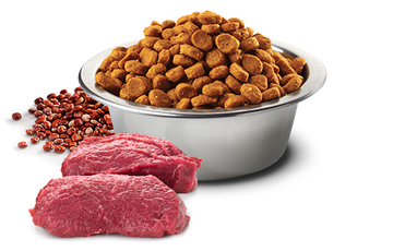 Farmina - N&D Quinoa - Skin & Coat Venison Mini (Dry Dog Food)