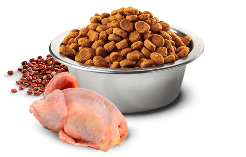 Farmina - N&D Quinoa Skin & Coat - Quail, Quinoa, Coconut and Turmeric Adult Recipe (Dry Cat Food)