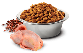 Farmina - N&D Quinoa Skin & Coat - Quail, Quinoa, Coconut and Turmeric Adult Recipe (Dry Cat Food)