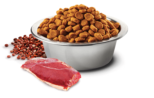 Farmina - N&D Quinoa -  Skin & Coat Duck & Quinoa Mini (Dry Dog Food)