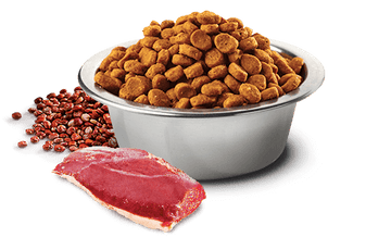 Farmina - N&D Quinoa - Neutered Duck & Quinoa Adult Med & Maxi (Dry Dog Food)