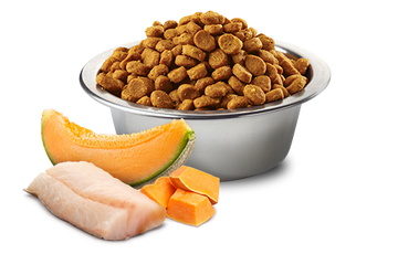 Farmina - N&D Ocean - Cod, Pumpkin & Cantaloupe Melon Medium & Maxi (For Puppies)