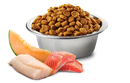 Farmina - N&D Ocean - Salmon, Cod and Cantaloupe Melon Adult Mini (Dry Dog Food)