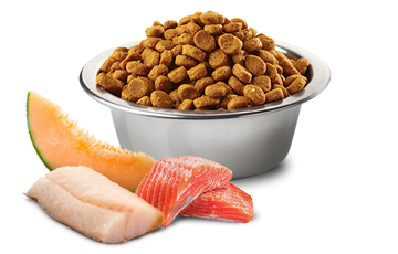 Farmina - N&D Ocean - Salmon, Cod and Cantaloupe Melon Adult Medium & Maxi (Dry Dog Food)