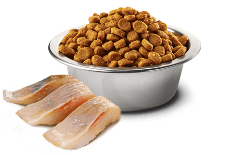 Farmina - N&D Ocean - Herring and Orange Adult Neutered Recipe (Dry Cat Food)