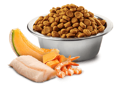 Farmina - N&D Ocean - Cod, Shrimp, Pumpkin and Cantaloupe Kitten Recipe (Dry Cat Food)