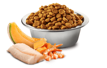 Farmina - N&D Ocean - Cod, Shrimp, Pumpkin and Cantaloupe Kitten Recipe (Dry Cat Food)